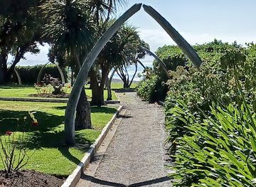 new-zealand/kaikoura/attraction/anzac-park