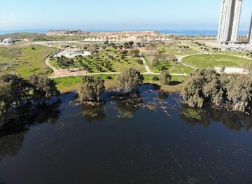 israel/netanya/attraction/shlulit-hachoref-netanya