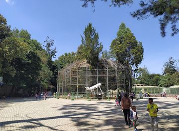 ethiopia/addis-ababa/attraction/lion-park