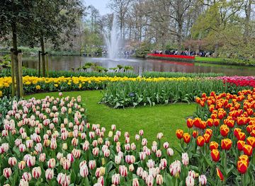 netherlands/keukenhof-gardens/attraction/keukenhof-forest