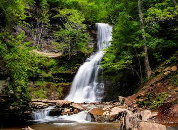 west-virginia/metro-valley/attraction/cathedral-falls