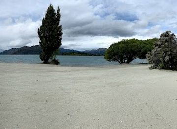 new-zealand/wanaka/attraction/lake-shore-walkway-to-wanaka-tree