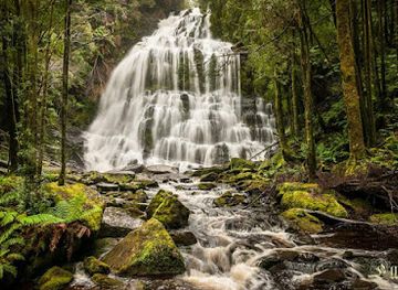 australia/tasmanian-wilderness/attraction/nelson-falls