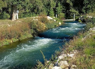 france/poitou-charentes/attraction/ile-de-gademoulin