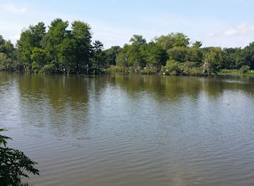 louisiana/bayou-teche/attraction/rip-s-rookery