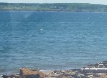 canada/cape-breton-island/attraction/cape-breton-fossil-centre-sydney-mines-heritage-museum