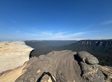 australia/sydney-basin/attraction/dingo-tours