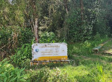 madagascar/ranomafana-national-park/attraction/vohipara-trail