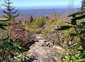 tennessee/tri-cities/attraction/unaka-mountain-wilderness-area