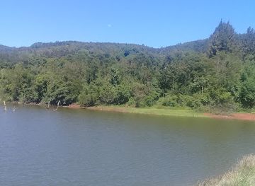 zimbabwe/chimanimani-national-park/attraction/lionhill-forest-land