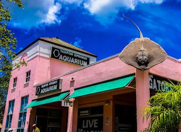 florida/sun-coast/attraction/tarpon-springs-aquarium-and-animal-sanctuary