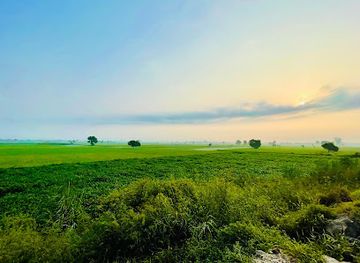 india/northern-plains/attraction/yamuna-biodiversity-park