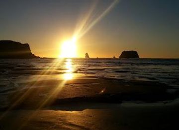 new-zealand/greymouth/attraction/greymouth-isite-visitor-information-centre