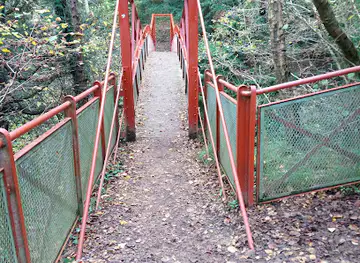 Natural England - Castle Eden Dene NNR