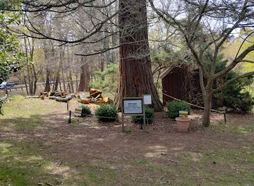 michigan/pere-marquette-state-forest/attraction/giant-sequoia-at-lake-bluff-arboretum-in-manistee