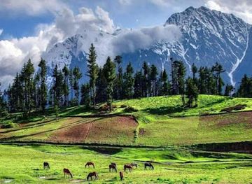 pakistan/swat-valley/attraction/beshai-meadows