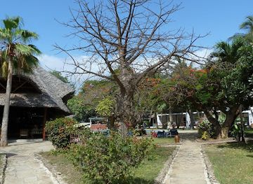 kenya/malindi/attraction/ndoro-sculpture-garden-by-appointment-only