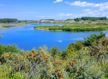 netherlands/dutch-coast/attraction/kennemerland-national-park