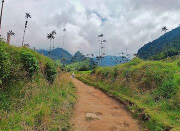 colombia/cocora-valley/attraction/sendero-hasta-el-rio-cardenas-valle-de-cocora