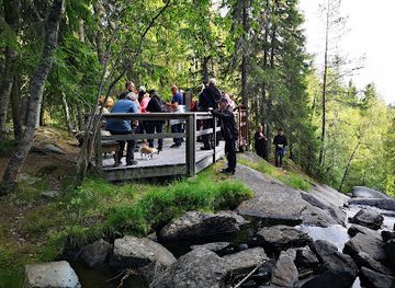 sweden/jamtland/attraction/glosa-algriket