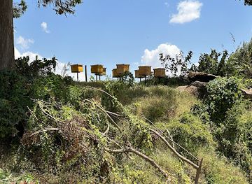 kenya/mount-elgon-national-park/attraction/mugaa-farm-koy-koy