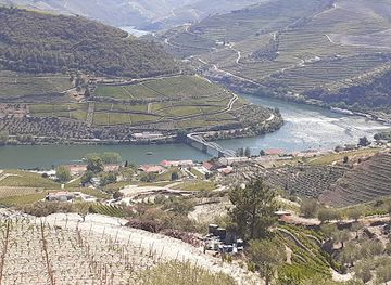 portugal/douro-valley/attraction/quinta-do-jalloto-family-vineyards