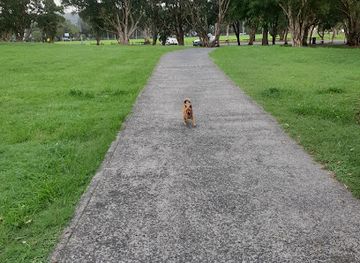 australia/central-coast/attraction/garnet-adcock-memorial-park