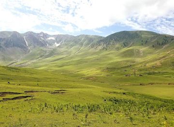 pakistan/karakoram-highway/attraction/morro-meadows-palas-kohistan