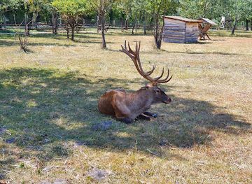 hungary/western-transdanubia/attraction/festetics-allatpark