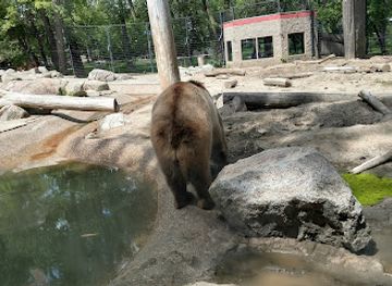 north-dakota/badlands/attraction/dakota-zoo