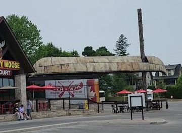 new-york/buffalo/attraction/maple-leaf-place