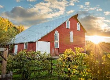 iowa/dubuque/attraction/galena-cellars-vineyard