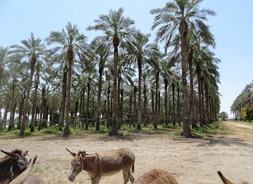 israel/beit-she-an/attraction/beit-shean-agricultural-ecological-tourism-atractions-meinot-valley