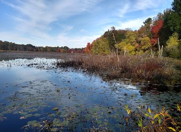 Mass Audubon's Ipswich River Wildlife Sanctuary