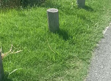 uruguay/piriapolis/attraction/punta-colorada-del-este-uruguay