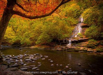 north-carolina/great-smoky-mountains/attraction/tom-branch-falls