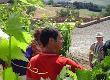 italy/montepulciano/attraction/artemisia-viaggi-srl