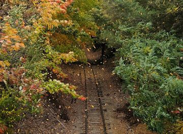 new-hampshire/laconia/attraction/weirs-beach-laconia-nh