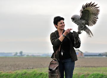 netherlands/zeeland/attraction/valkeniershof