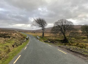 ireland/wicklow-mountains/attraction/sean-kelly-bridge