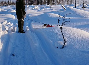 finland/ruka-kuusamo/attraction/sukerijarvi-strict-nature-reserve