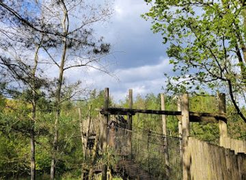 belgium/campine-kempen/attraction/insektenmuseum-entomopolis