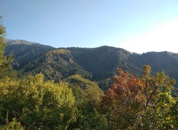 kazakhstan/ile-alatau-national-park/attraction/birch-grove