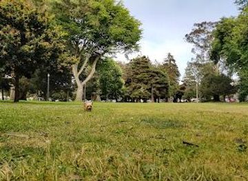 california/hayward/attraction/the-panhandle