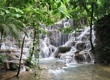 mexico/chiapas/palenque/attraction/sombrillas-waterfalls