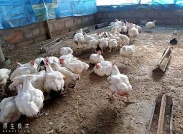 nigeria/benin-city/attraction/godgift-world-int