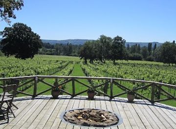 united-kingdom/sussex/attraction/nutbourne-vineyards