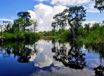 louisiana/lake-maurepas/attraction/joyce-wildlife-management-area