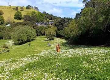 new-zealand/auckland/devonport/attraction/mt-cambria-reserve