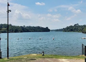 singapore/novena/attraction/macritchie-treetop-walk-trailhead
